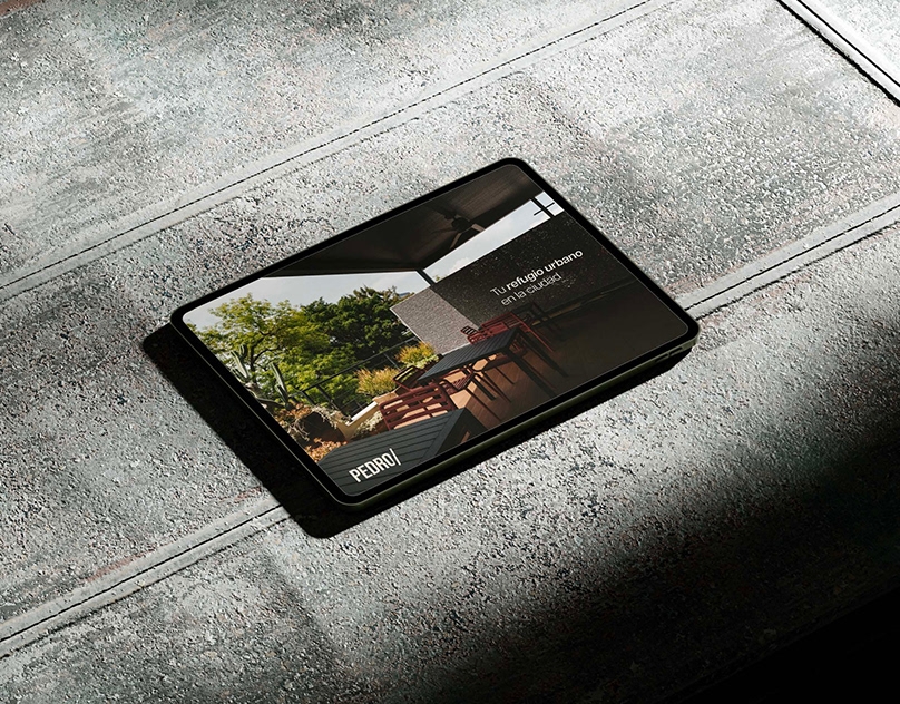 Pedro-Americana-Branding-Web-Social-Media